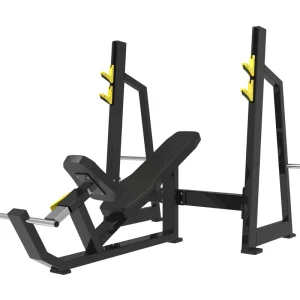 Incline Adjustable Steel Weight Bench for Commercial Use