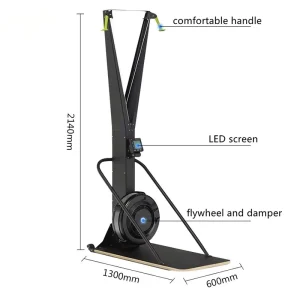 Indoor Cardio Ski Rower Steel Adjustable Resistance 200 kg Home Gym Commercial Use