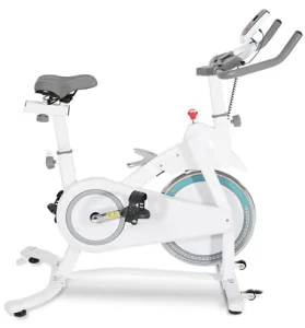 Indoor Cycling Exercise Bike, Silent Design, Cardio Training