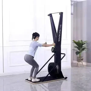 Indoor Ski Rowing Machine Air Rower Fitness Trainer