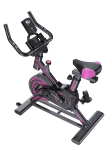 Indoor Spinning Exercise Bike for Home Use with 4 kg Flywheel