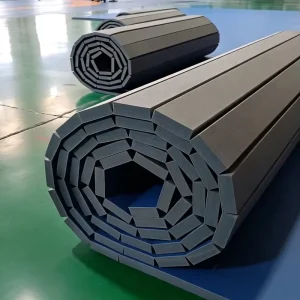 Indoor Training Roll-Out Martial Arts Mat Wear-Resistant for Wrestling Club