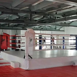 International Competition Boxing Ring