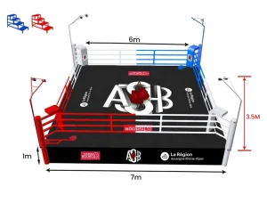 International Standard Boxing Competition Ring Taekwondo Judo Wrestling Platform Gym Training