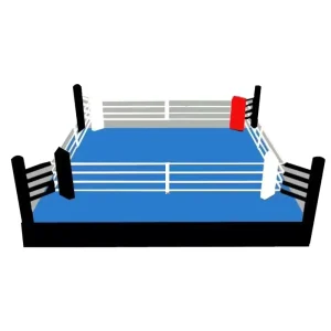 International Standard Boxing and Kickboxing Ring