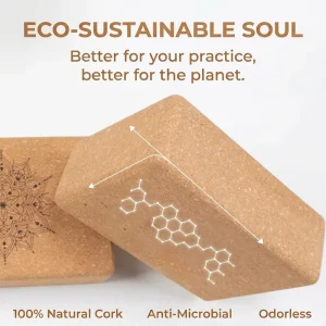 Iyengar Yoga Block High-Density Non-Slip Antimicrobial Natural Cork for Alignment