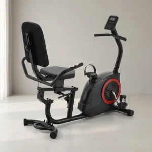 Low Impact Quiet Recumbent Bike Magnetic Resistance Cardio Trainer for Apartment Home Workout Joint Friendly Fitness Equipment