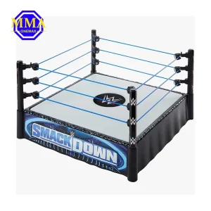 MMA Boxing Ring and Elevated Wrestling Ring