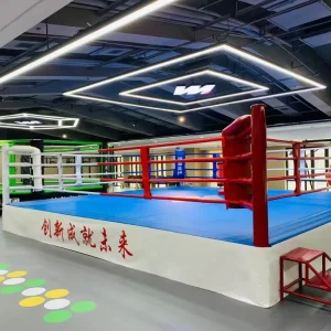 MMA Fighting Octagon Cage Boxing Ring