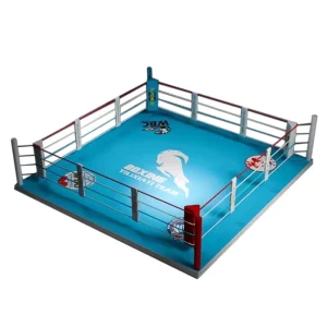 MMA Floor Boxing Ring and Elevated Stage Boxing Ring