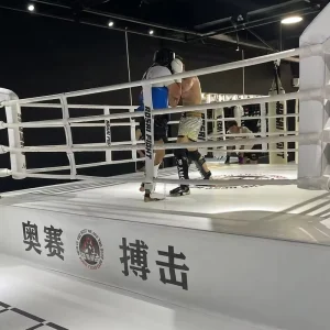 MMA Martial Arts Boxing Ring Wrestling Cage