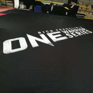MMA Octagon Cage Canvas