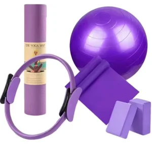 Manufacturer Supply Multi-Function 5PCS Pilates Fitness Set for Home Workout and Yoga Training