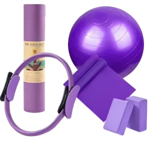 Manufacturer Supply Multifunctional 5-Piece Pilates Fitness Set for Home Workout and Yoga Training