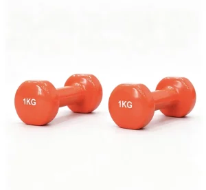 Manufacturer Vinyl Dumbbell Sets in Multiple Colors for Fitness Training