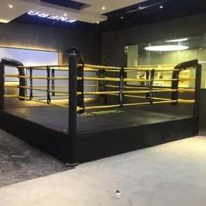Martial Arts Equipment Boxing Ring 6m with Canvas Floor Cover