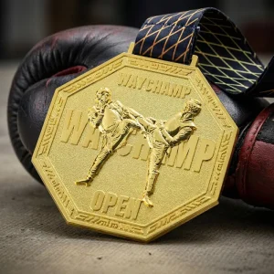 Martial Arts Medals Zinc Alloy 3D Embossed Gold Plated Karate Kickboxing Boxing Medals for Tournaments