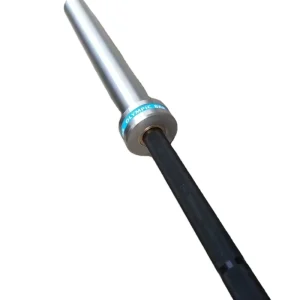 Men’s Barbell with Colored Ring, 1500 lb Capacity