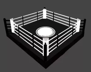 Mini Gym Boxing Ring Floor Level, 3m/4m/5m Width