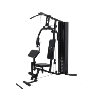 Multi-Function Single-Station Home Gym with Arm Function