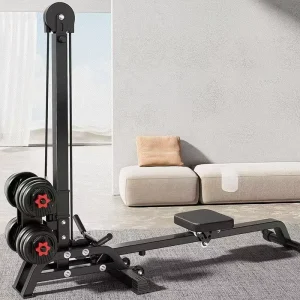 Multi Functional Home Gym Rowing Machine with Weight Plates 10 Second Quick Switch Rower for Strength Training