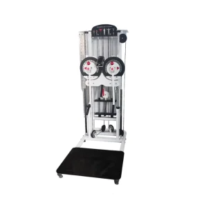 Multifunction Gym Station for Standing Lateral Raise