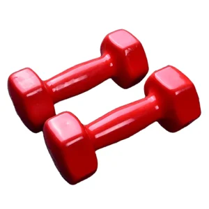 New Selling Home Gym Small Free Weight Colorful Dumbbells High Quality