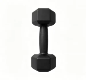 Non-Slip Cement Dumbbell for Home Gym Fitness