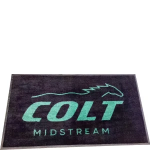 Nylon Eco Friendly Washable Custom Logo Commercial Entryway Mat Non Slip Custom Sizes