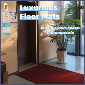 Nylon Yarn Color Stable Launderable Mat for Indoor Office Corridors and Public Passages