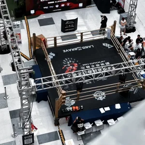 OEM ODM Factory Custom Logo 6*6m Boxing Ring for Gym Training Fight Competition