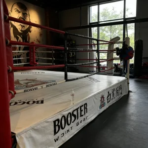 OEM ODM Factory Custom Logo Boxing Ring Mat Cover Sheet