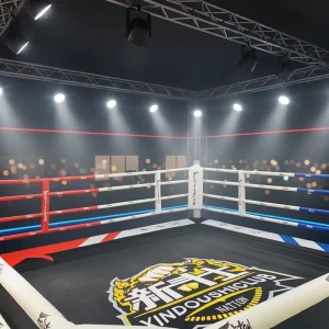 OEM ODM Factory Custom Logo Collapsible Boxing Ring for Gym Training and Fight Competitions