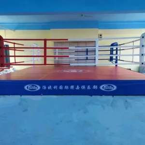 Octagon MMA Cage for Boxing Training