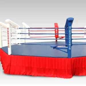 Octagon Style Boxing Ring