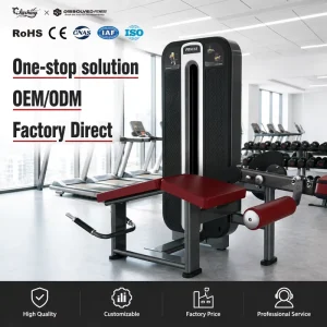 One stop Solution Commercial Indoor Sports Equipment 500 square Meter Coverage Fitness Equipments