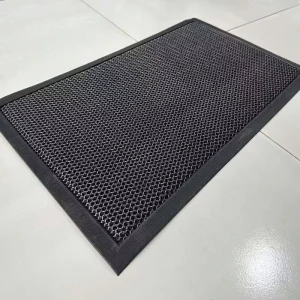 Outdoor Dust-Removing Anti-Slip Doormat for Entrance and Foyer