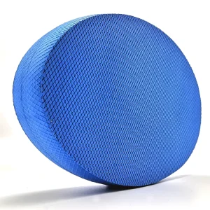 Oval Stability Trainer Foam Cushion Balance Exercise Pad
