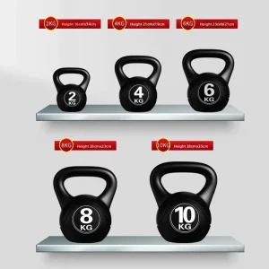 PE Kettlebell Dumbbells for Squat Training FTSM-HL410H