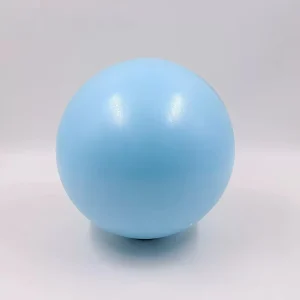 PVC Pedagogical Gym Ball Unisex Adult Educational Balance Ball 10-14.9in Diameter