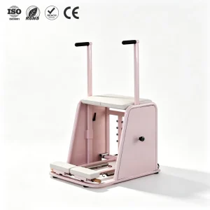 Pink Korean Style Stability Chair for Core Training Adjustable Balance Workout Pilates Equipment for Home Studio
