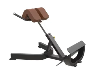 Plate-Loaded Back Extension Strength Training Machine
