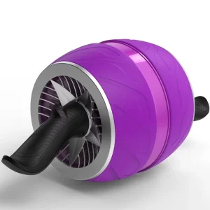 Portable Ab Wheel Roller with ABS and Steel Core for Home Gym