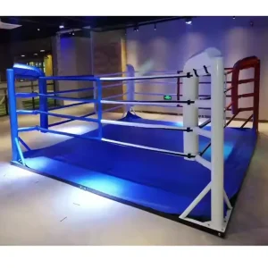 Portable Elevated MMA Boxing and Wrestling Ring