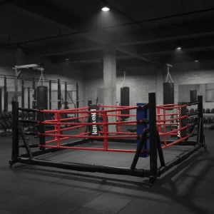 Portable Folding Boxing Training Ring Foldable Floor Boxing Ring