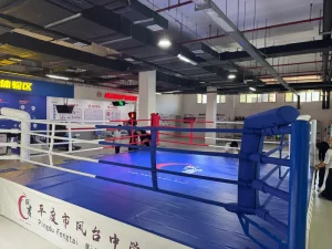 Portable MMA Cage Elevated Boxing Ring 6x6m for Boxing Training Competition Events