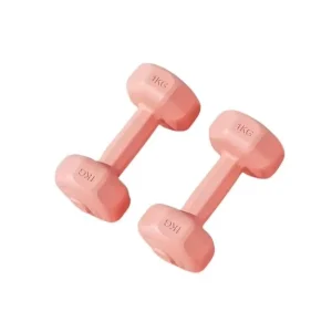 Portable Octagonal Solid Cement Dumbbell for Home Gym