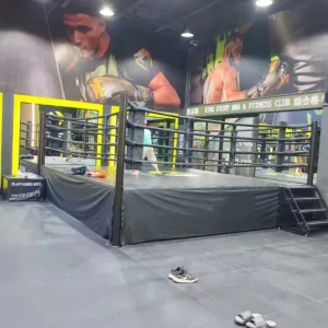 Portable Outdoor Inflatable Boxing Ring Kit with Ropes