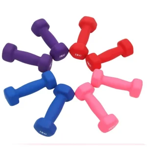 Portable Silicone Dumbbells for Fitness and Yoga