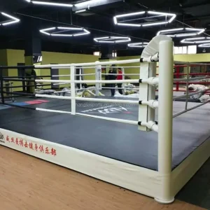 Portable Steel MMA Elevated Boxing and Wrestling Ring with Foam and Polywood Protection